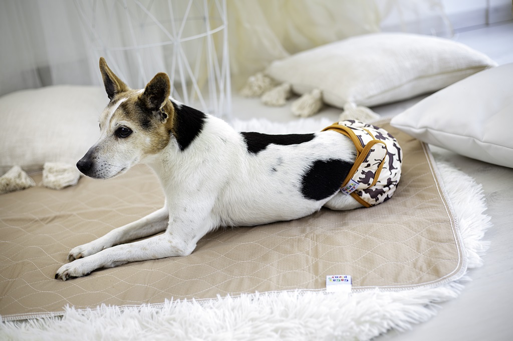 Absorpční podložka pro psy Hnědá XL 91x122cm