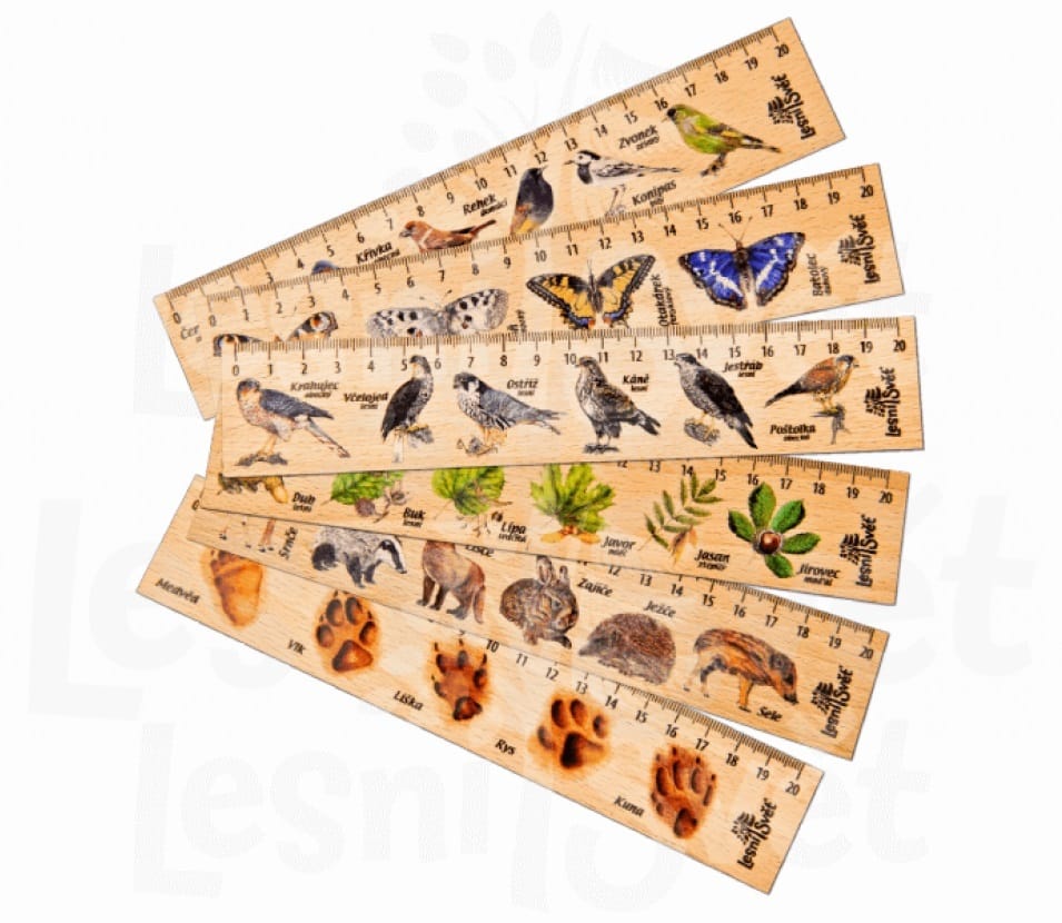 Lesní svět Dřevěné pravítko 20 cm Jehličnany
