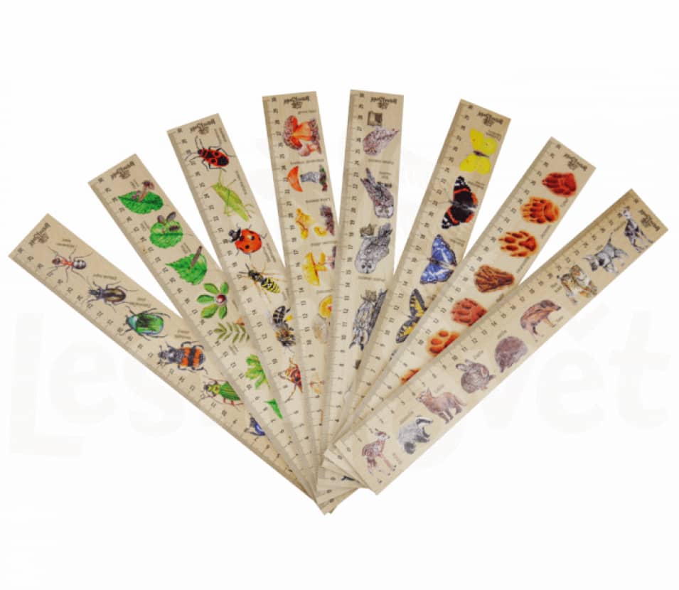 Lesní svět Dřevěné pravítko 30 cm Mláďata