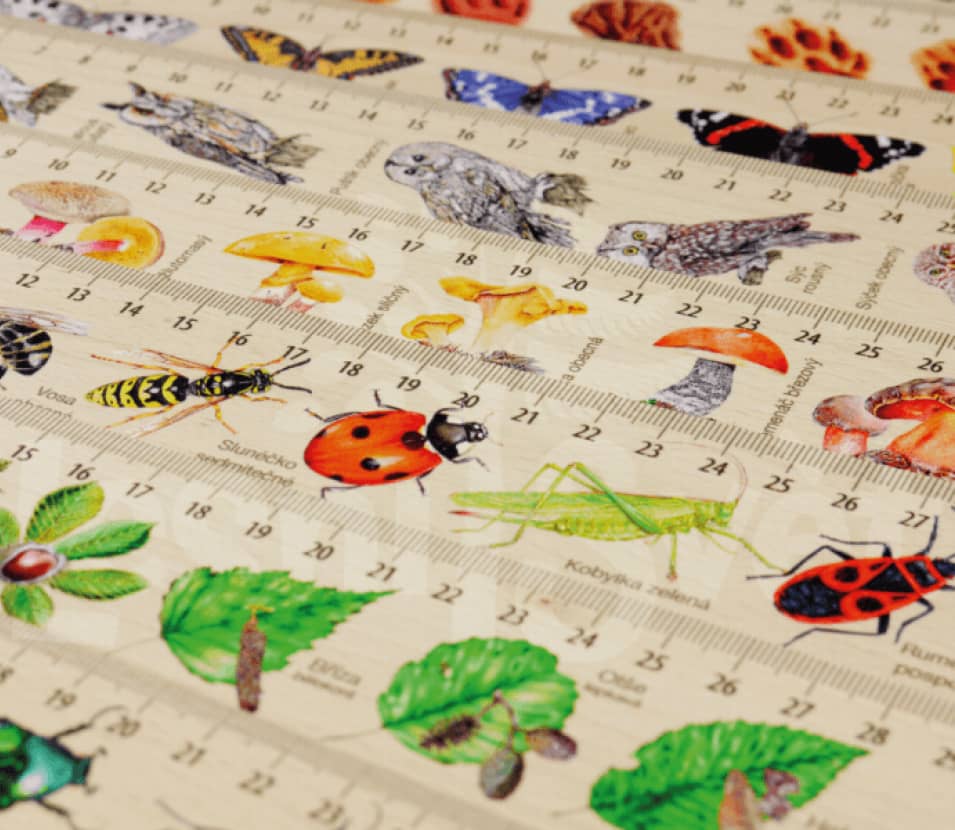 Lesní svět Dřevěné pravítko 30 cm Mláďata