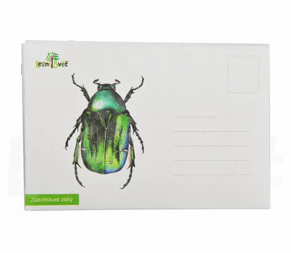 Lesní svět Puzzle do kapsy Stehlík