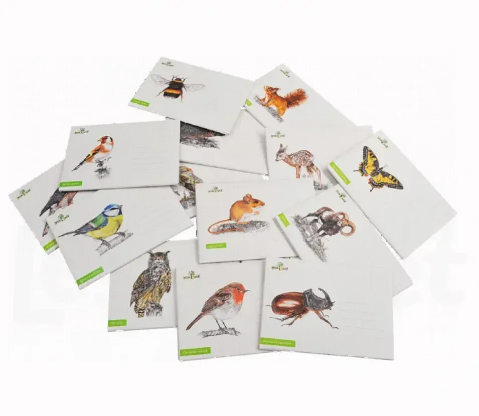 Lesní svět Puzzle do kapsy Veverka