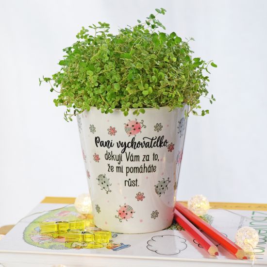 Housedecor Květináč pro paní vychovatelku