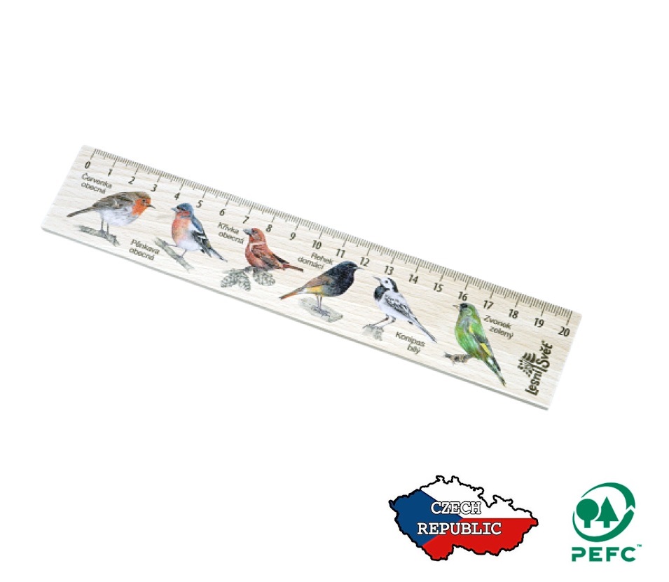 Lesní svět Dřevěné pravítko 20 cm Červenka