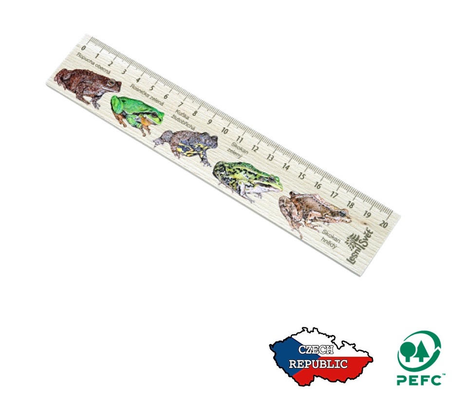 Lesní svět Dřevěné pravítko 20 cm Žáby