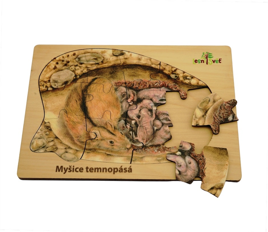 Lesní svět Puzzle z lesa myšice