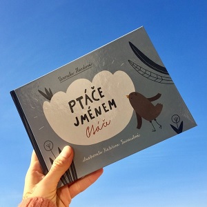 Ptáče jménem Ptáče - Veronika Hurdová