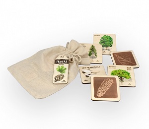 Lesní svět MINI Frotážová sada Dřeviny