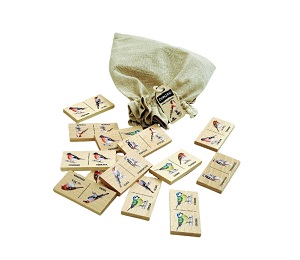 Lesní svět Edukační Domino Ptáci