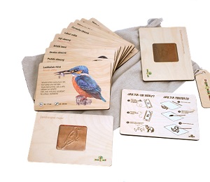 Lesní svět Frotážová sada Ptáci