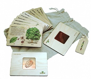 Lesní svět Frotážová sada Stromy