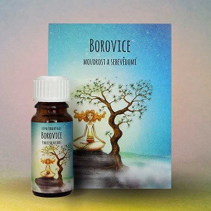 Aromaterapeutický éterický olej Borovice 10ml