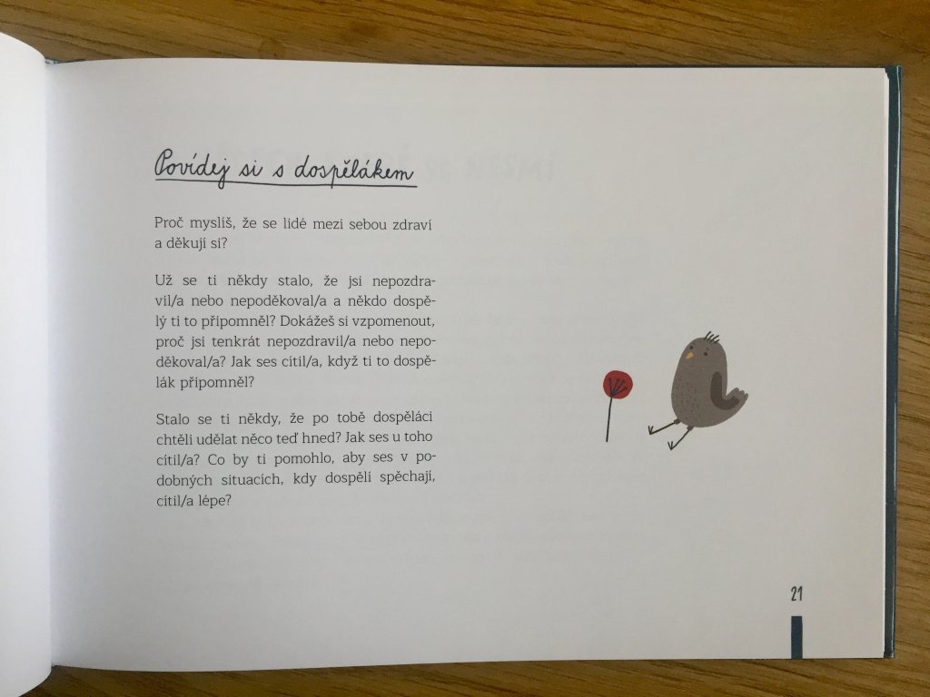 Ptáče jménem Ptáče - Veronika Hurdová