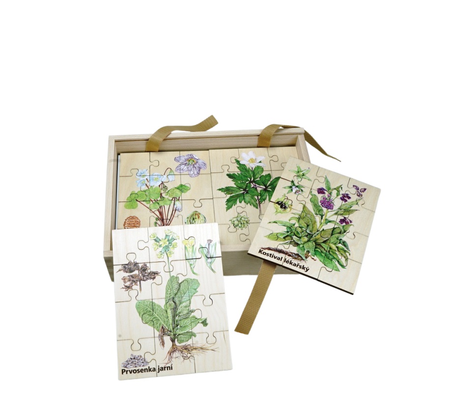 Lesní svět Sada Puzzle Rostliny
