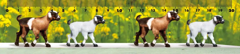 Pravítko 20cm 3D obrázek s násobilkou-kozy 225