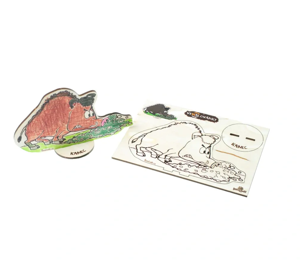 Lesní svět Vymalovánky Divočák