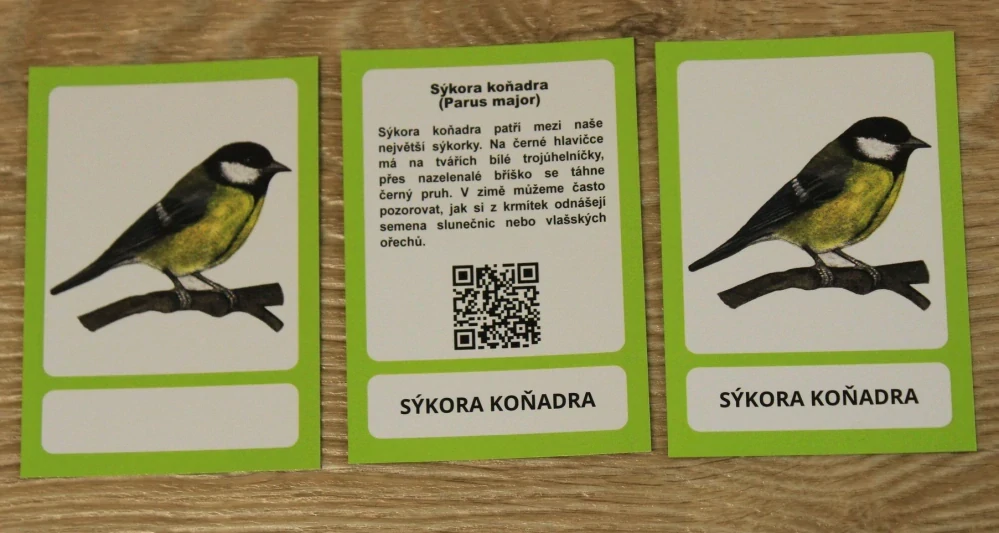 Výukové karty třísložkové -  Naši ptáci