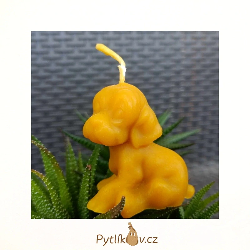 Svíčka pejsek 100% včelí vosk