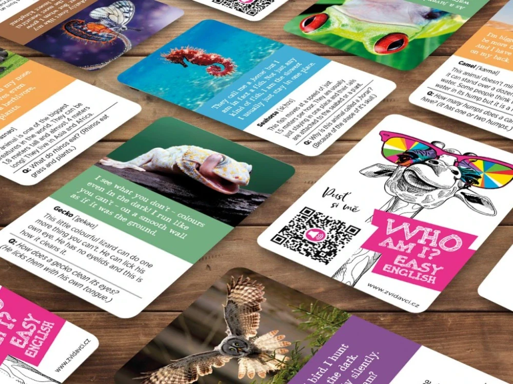 Zvídavci Hádací hra WHO AM I? EASY ENGLISH 