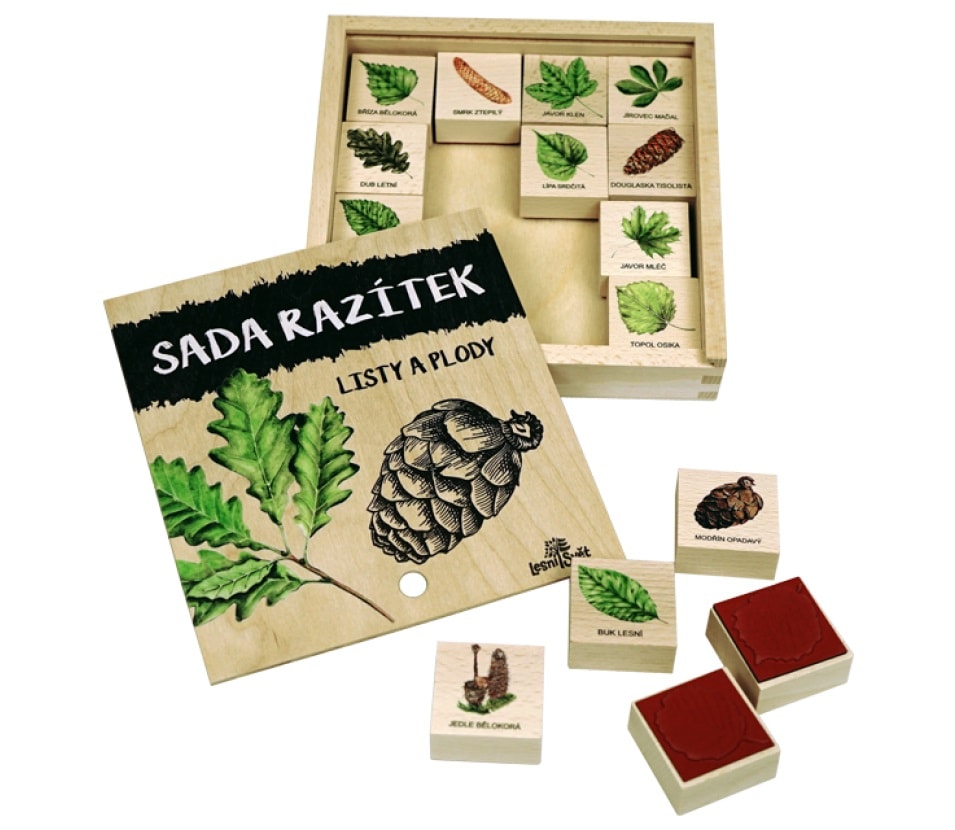 Lesní svět Razítka Listy a plody