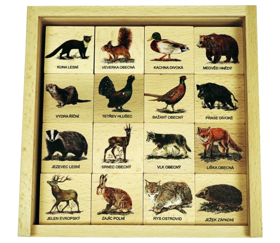 Lesní svět Razítka Stopy zvěře