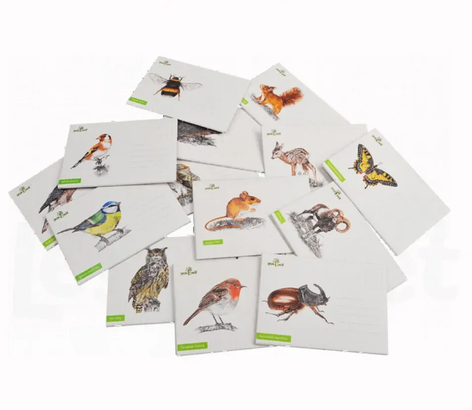 Lesní svět Puzzle do kapsy Ruměnice