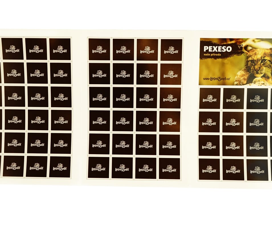 Lesní svět Papírové pexeso Naše příroda