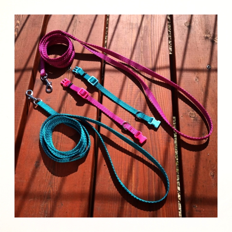 Obojek a vodítko pro štěňata toy plemen XS - 16cm-21cm/10mm nylon Smarti fashion - fosoforově žlutá