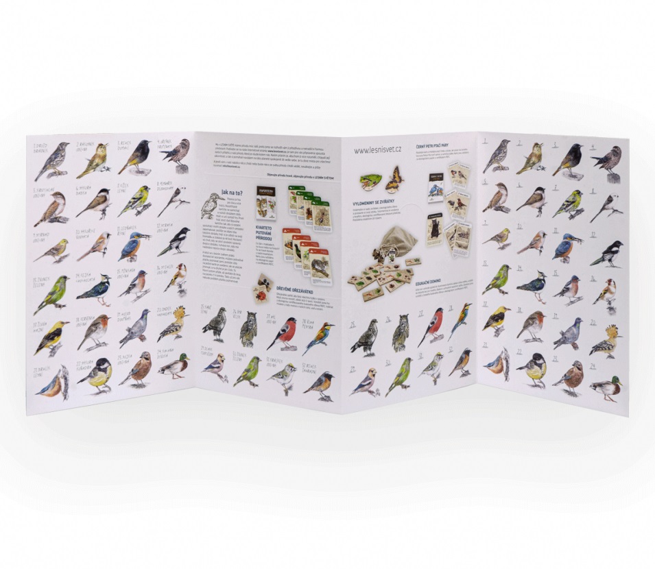 Lesní svět Papírové pexeso Z ptačí říše