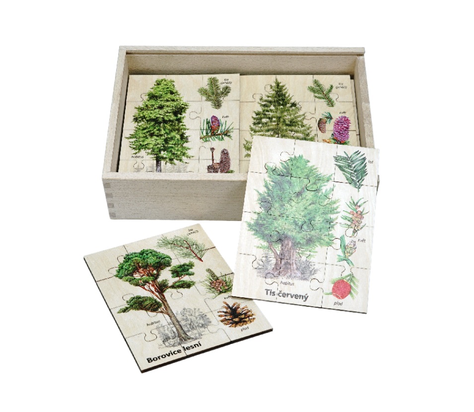 Lesní svět Sada Puzzle Poznáváme dřeviny