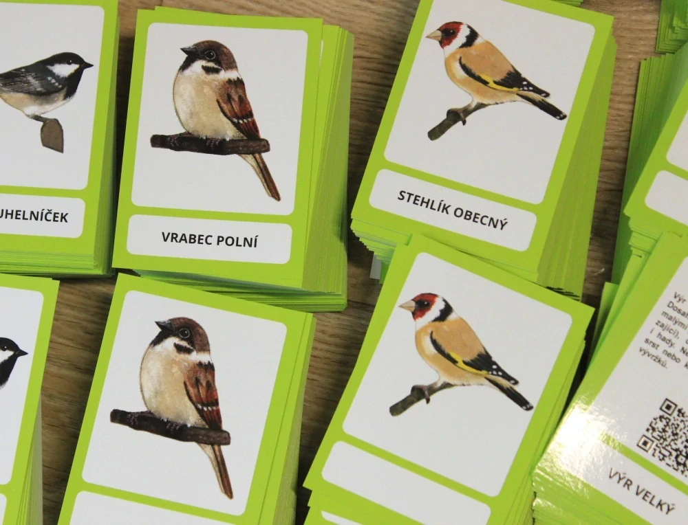 Výukové karty třísložkové -  Naši ptáci