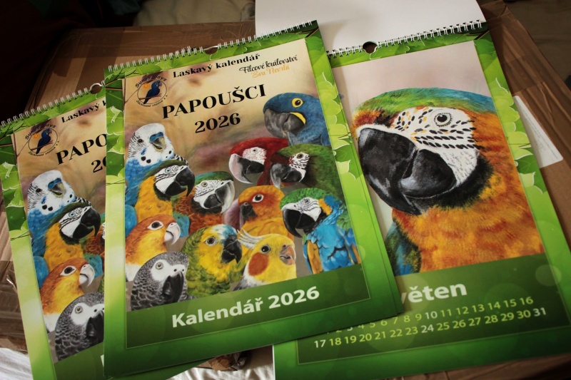 Nástěnný kalendář Papoušci 2026 A3