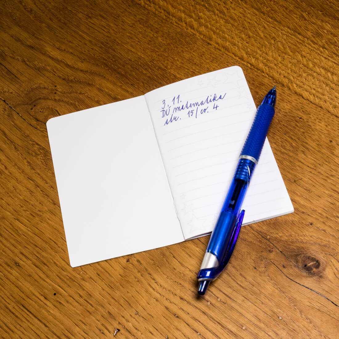 Duhová kočka Minizápisník Rozhodnutí