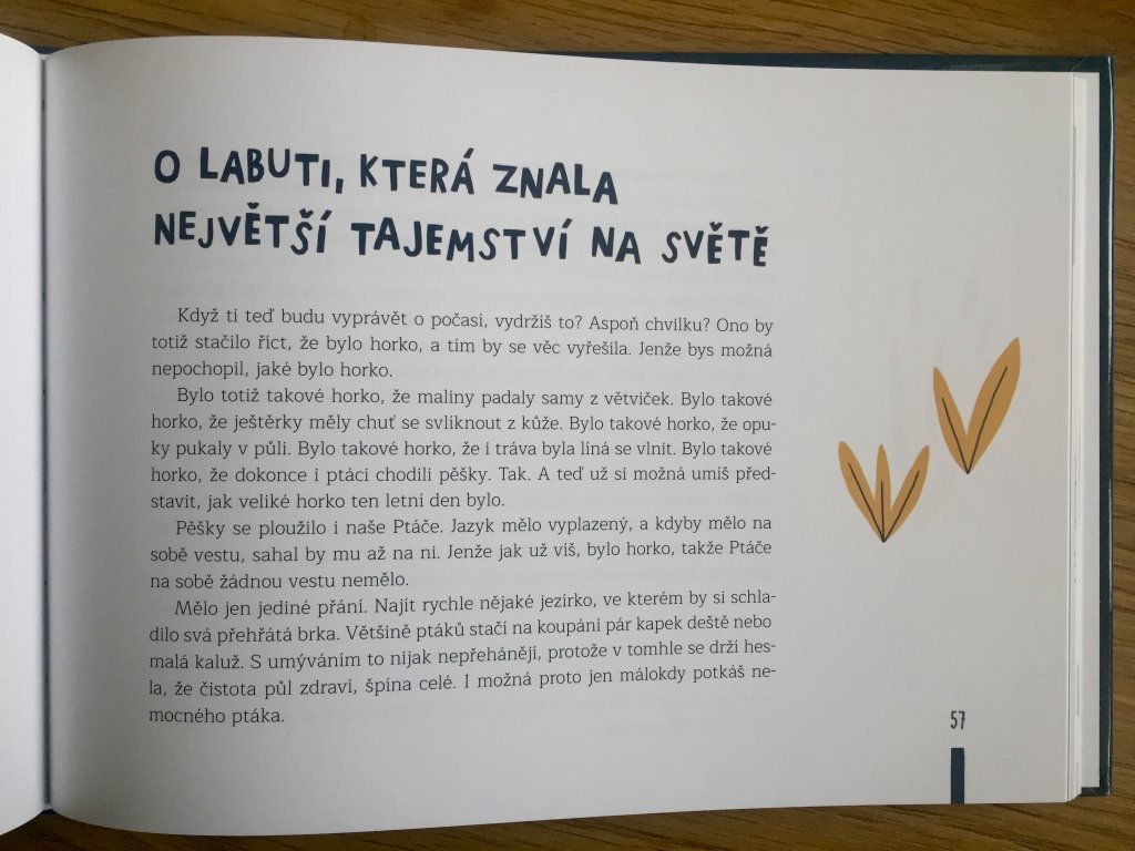 Ptáče jménem Ptáče - Veronika Hurdová