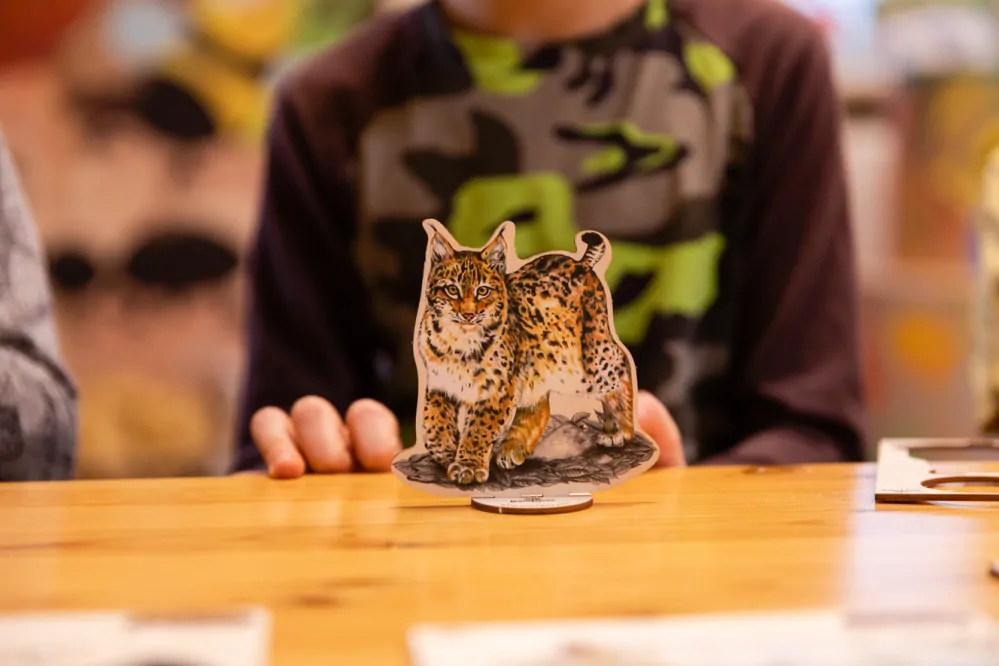 Lesní svět Vylomeniny se zvířátky S Tetřev