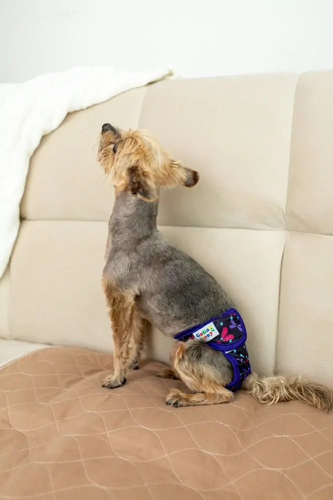 Hárací kalhotky pro psy Květy L