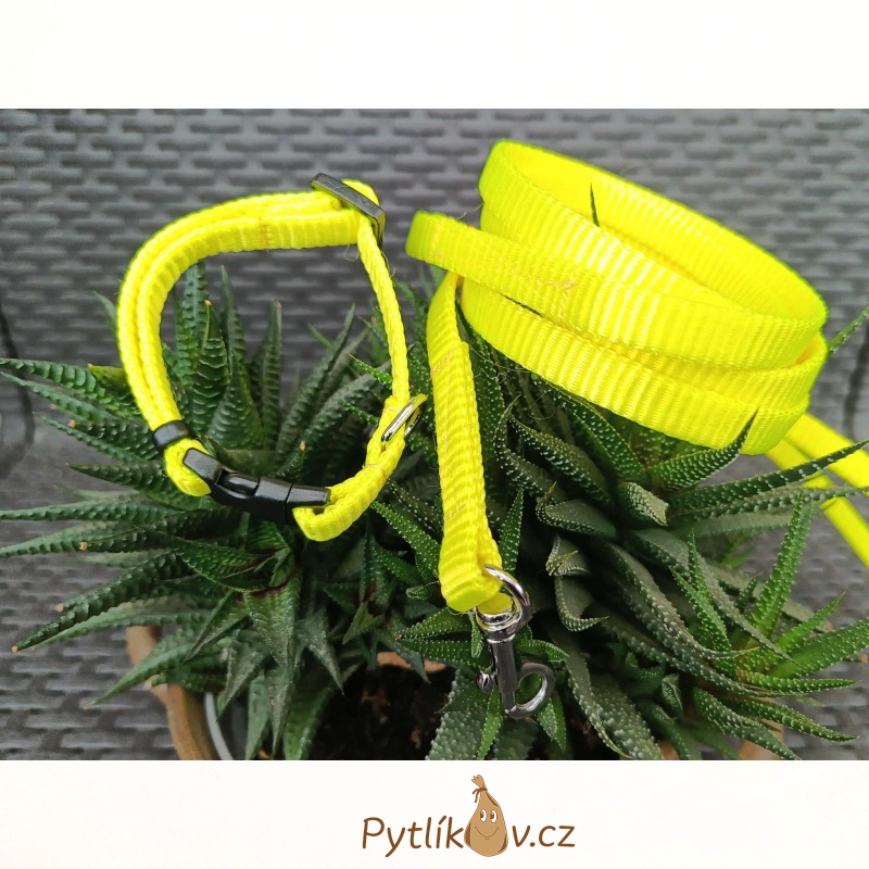 Obojek a vodítko pro štěňata toy plemen XS - 16cm-21cm/10mm nylon Smarti fashion - fosoforově žlutá