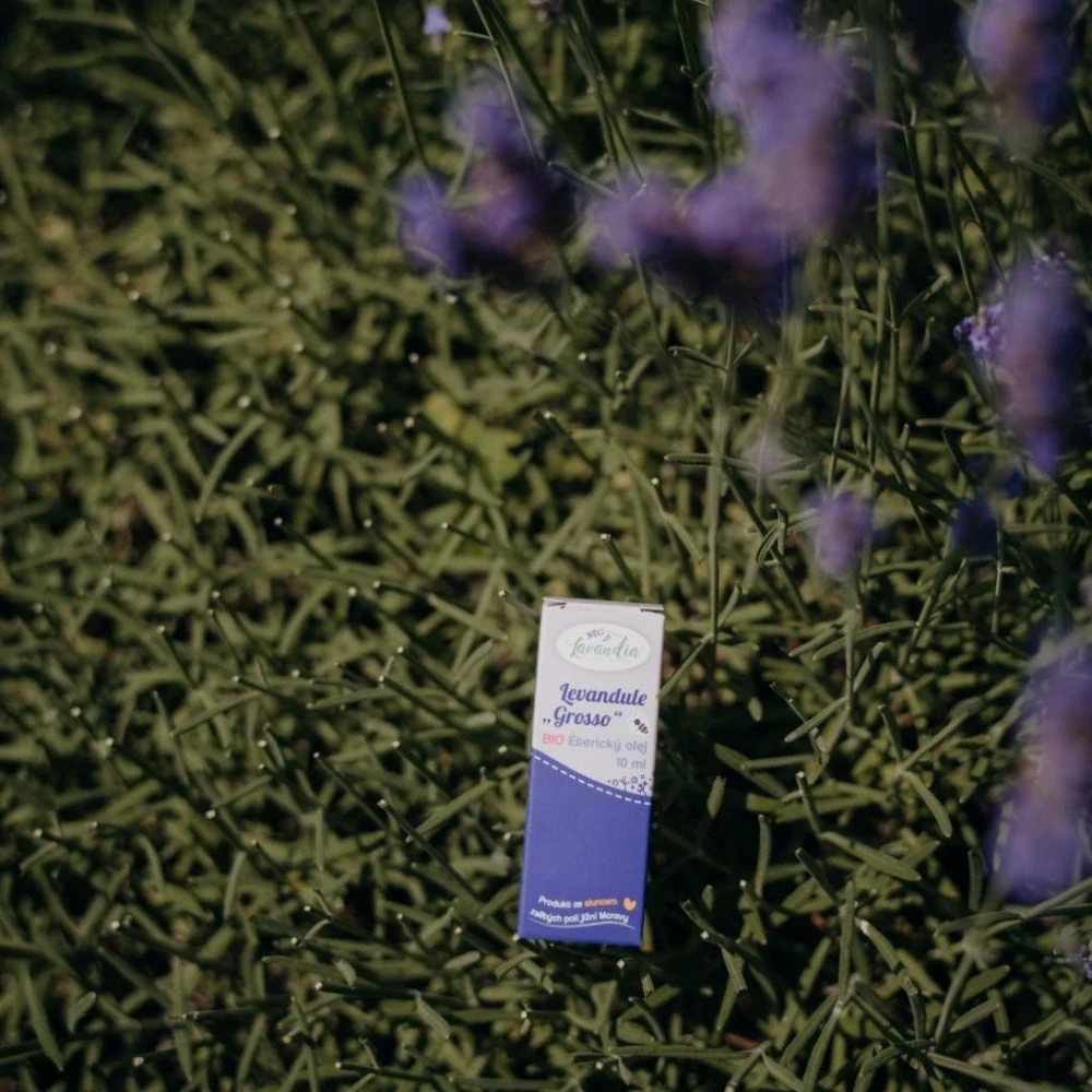 Lavandia Éterický olej Lavandin Grosso BIO