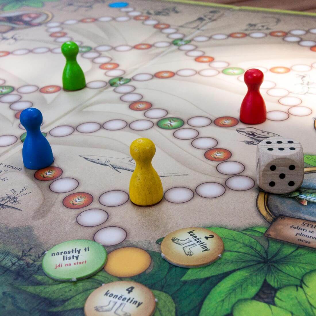 Duhová kočka 4 přírodovědné hry