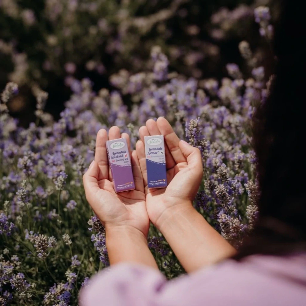 Lavandia Éterický olej Lavandin Grosso BIO