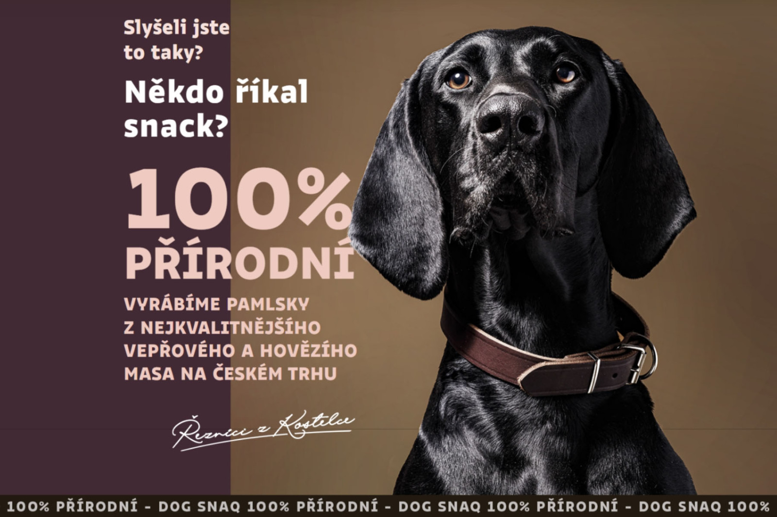 Dog Snaq - velké sušené vepřové uši, 4 ks
