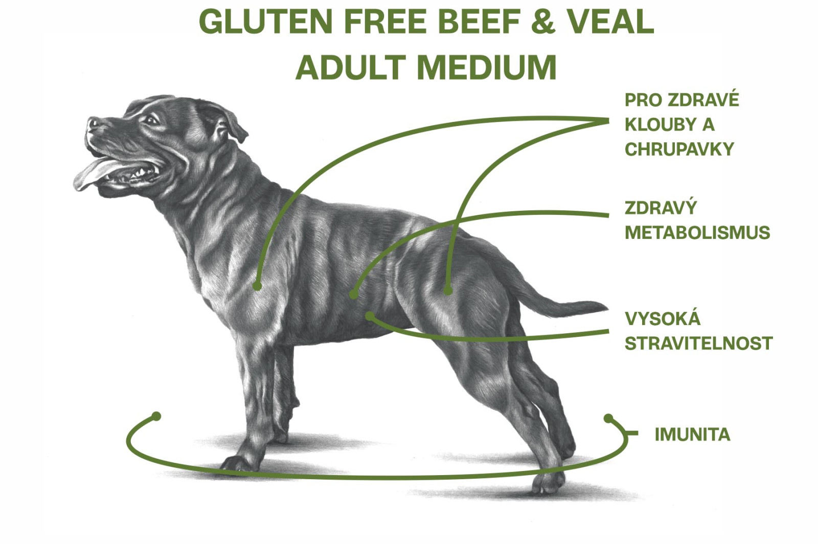 Sam's Field Gluten Free Beef & Veal Adult Medium 2,5 kg