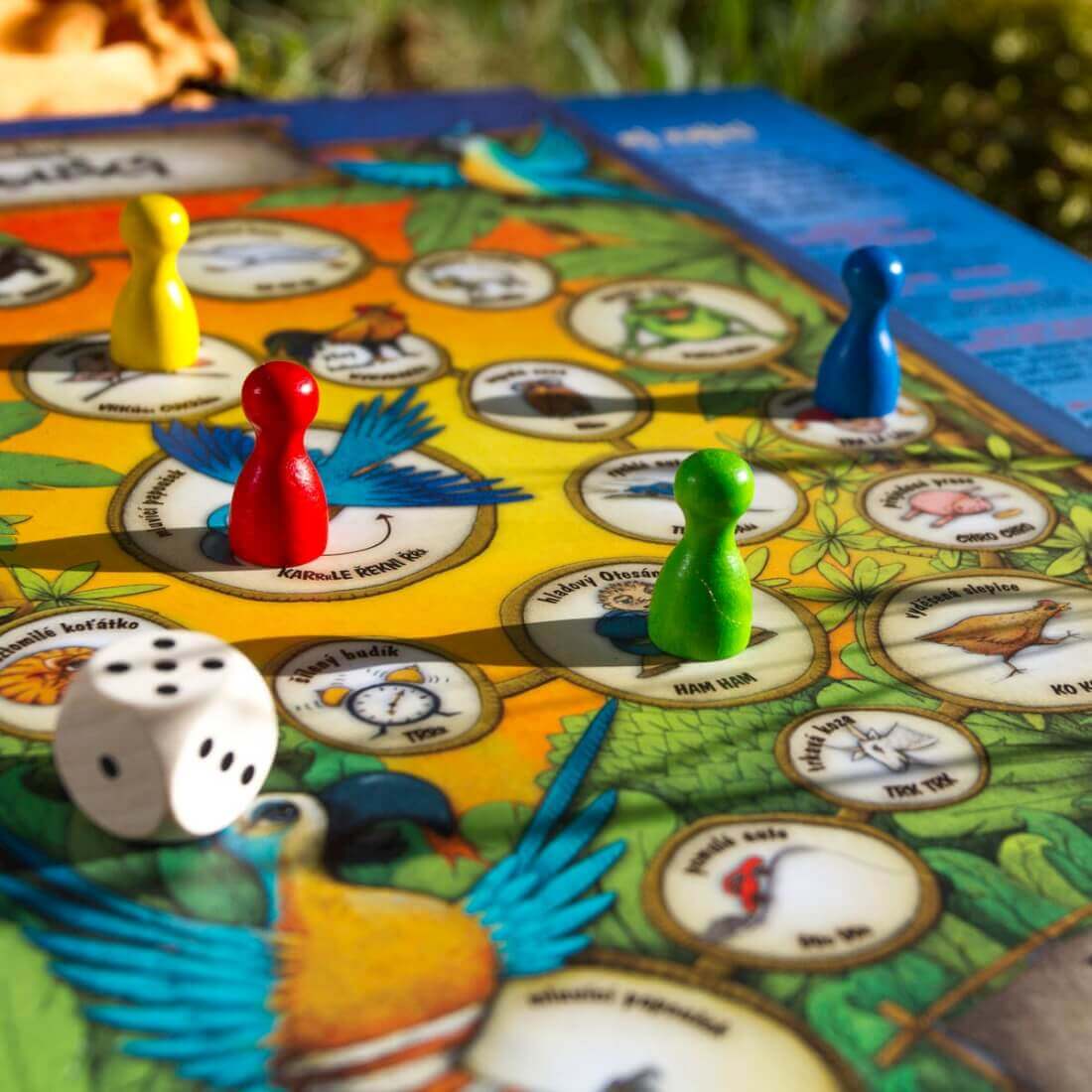 Duhová kočka 4 zvířátkové hry