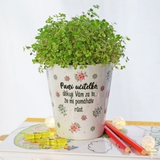 Housedecor Květináč pro paní učitelku