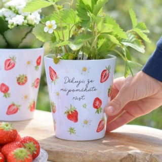 Housedecor Květináček Jahoda - Děkuji, že mi pomáháte růst