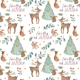 Housedecor Vánoční balící papír 0,7x1m - Zásilka od Ježíška