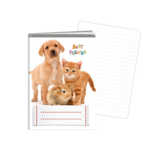 Školní sešit EKO 644 A6 linkovaný