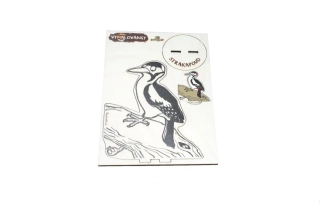 Lesní svět Vymalovánky Strakapoud