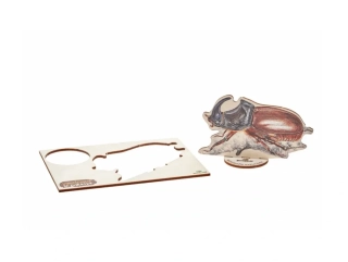 Lesní svět Vylomeniny se zvířátky M Nosorožík