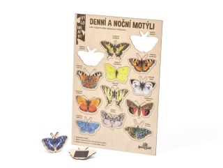 Lesní svět Velké vylomeniny - Noční a denní motýli